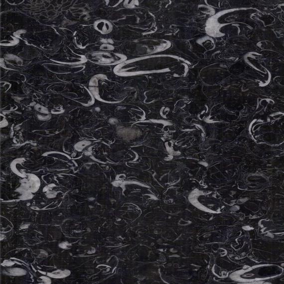 Mármore fossilífero exclusivo para construções sofisticadas