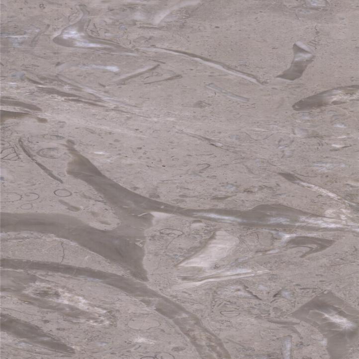 Cauda de Fênix Cinza