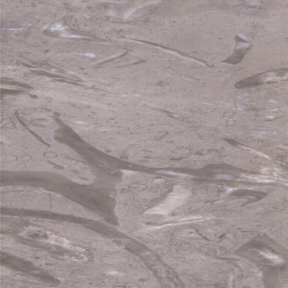 Cauda de Fênix Cinza