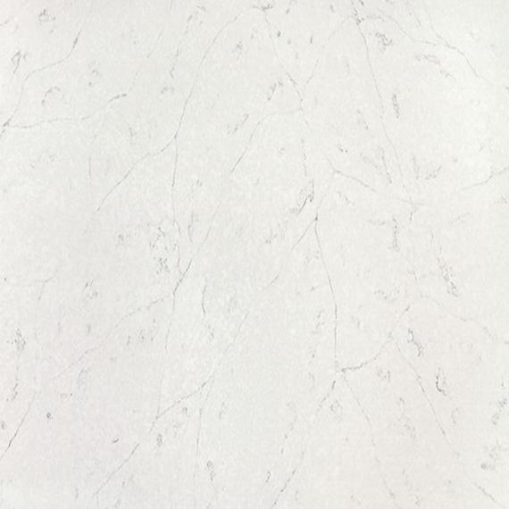 Quartzo com padrão e textura fossilífera