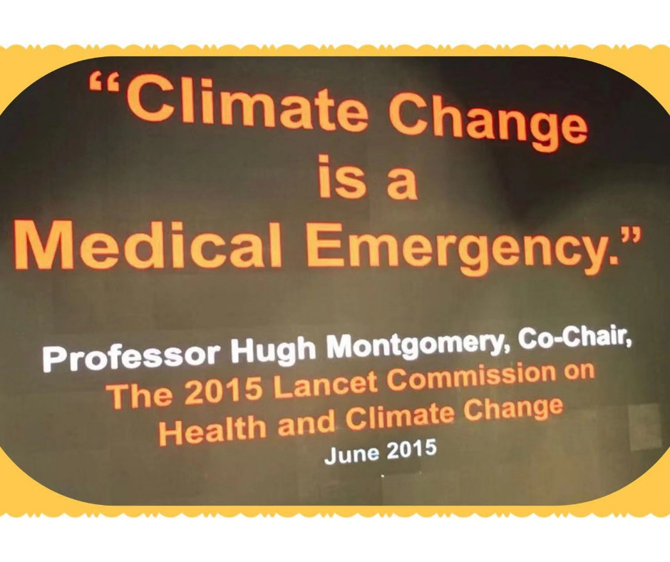 Observações de Angela. Realidade climática: Projetando para um clima em mudança e agricultura – Incorporando a agricultura urbana e o design arquitetônico moderno